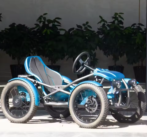 4 Wheeled off Road Ebike Electric Quad E-trike with Fat Tire Four-wheeler Touring Quadricycle